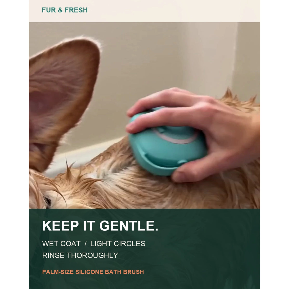 Hand using a blue silicone bath brush on a dog, with gentle washing instructions.