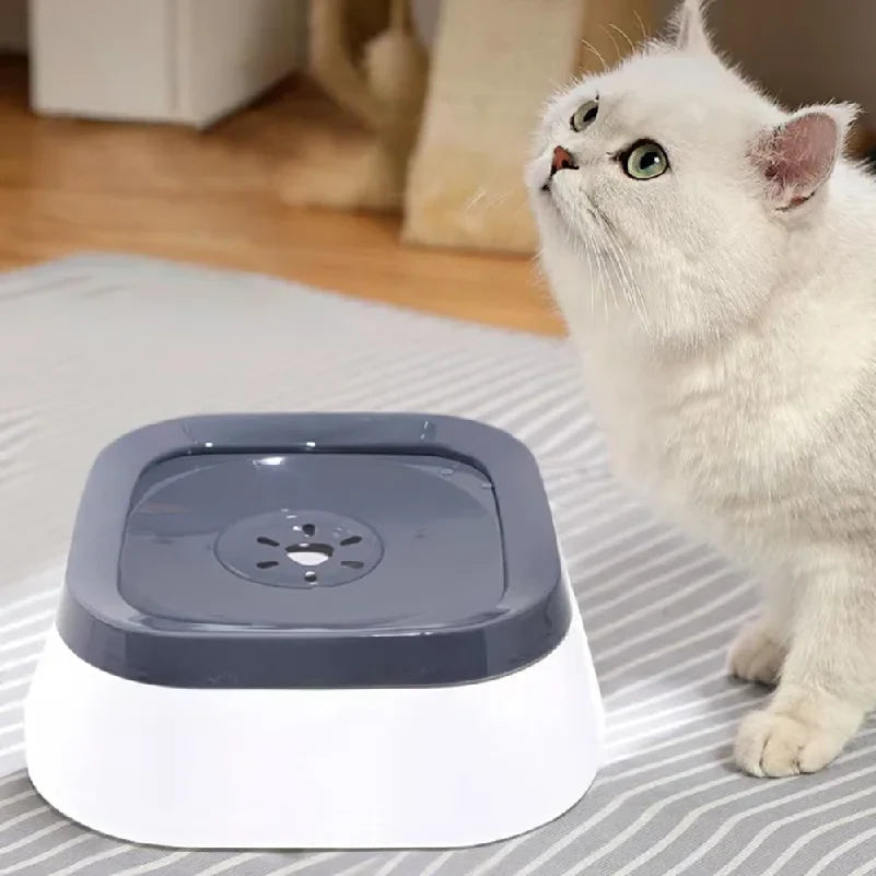 Cat drinking from the gray floating disc in a white pet water bowl.