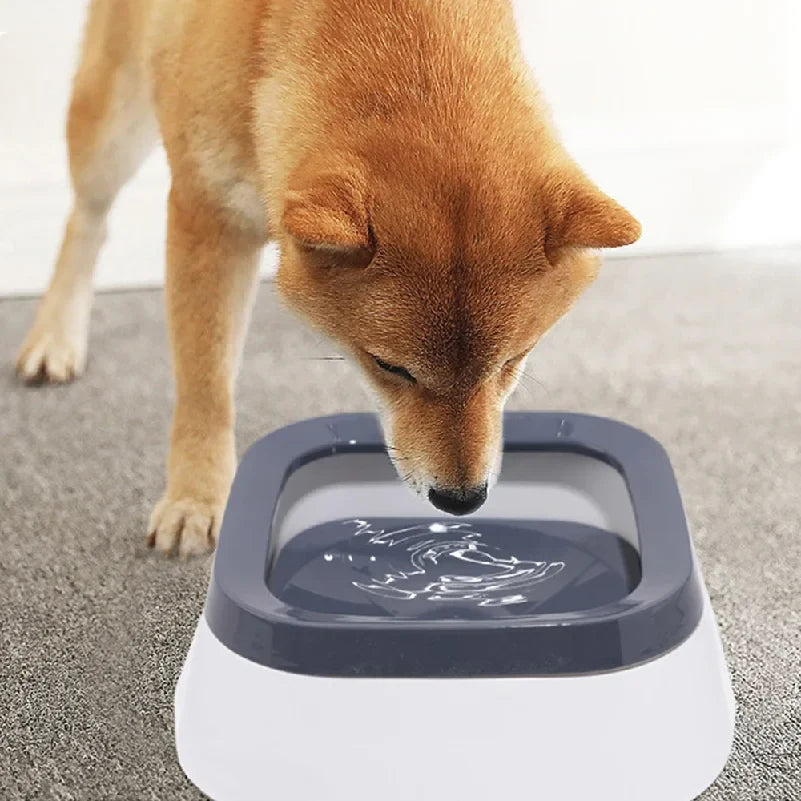 Dog drinking from a white pet water bowl with a gray floating disc.