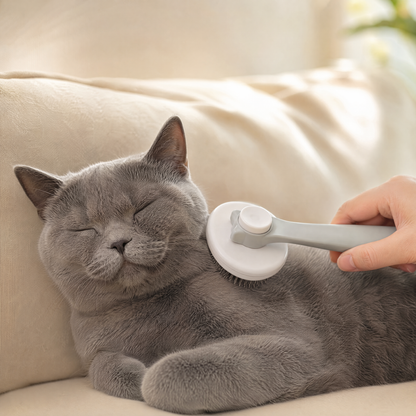 Grey self-cleaning pet grooming brush used gently on a relaxed grey cat