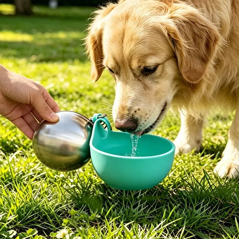 Person offering a dog water from the unfolded blue bowl of a stainless steel travel bottle outdoors.
