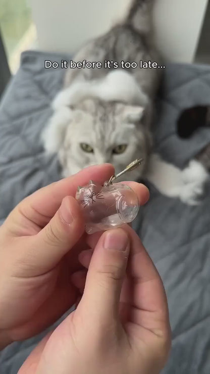 Supplier video showing fur placed in a Silver Tabby cat-shaped keepsake and the loop being attached.