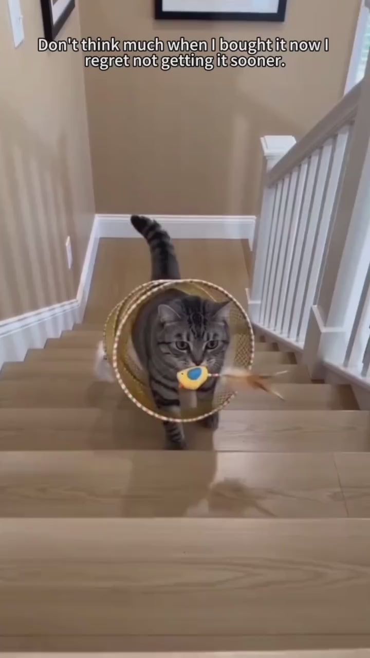 Supplier video showing cats playing with a yellow collapsible spiral tunnel indoors.