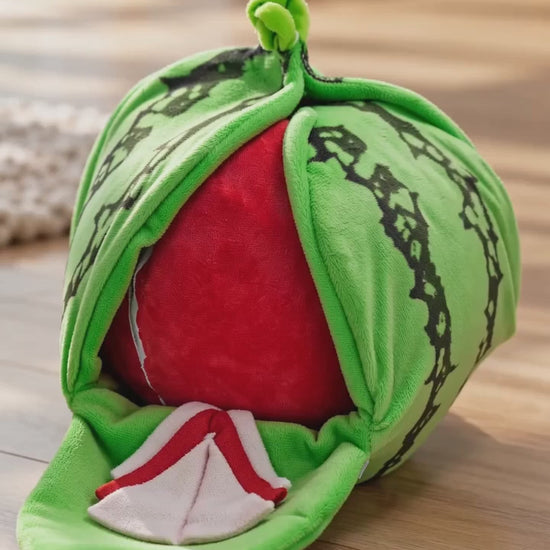 AI-generated product illustration: Green watermelon plush toy opened to show its red interior beside a dog.