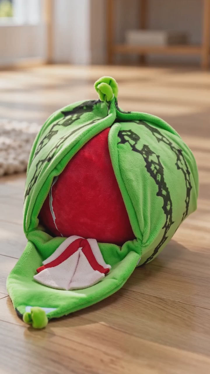 AI-generated product illustration: Green watermelon plush toy opened to show its red interior beside a dog.